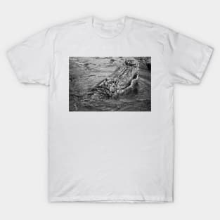 Emerging Gator black and white T-Shirt